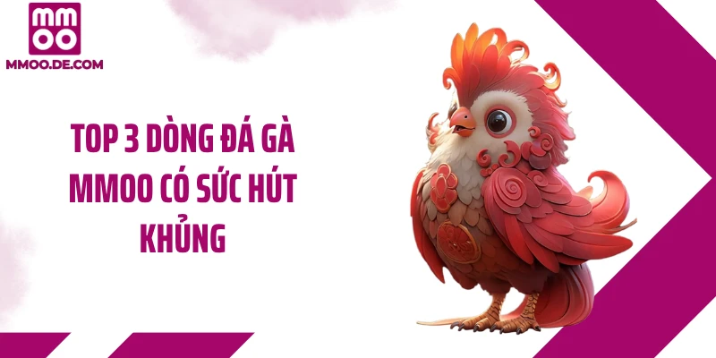 Top 3 dòng đá gà MMOO có sức hút khủng